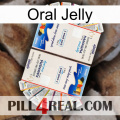 Oral Jelly kamagra1